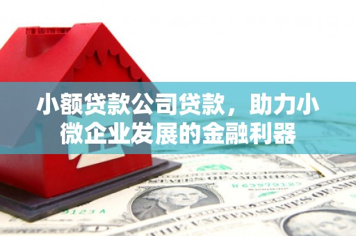 湖里小额贷款公司贷款，助力小微企业发展的金融利器