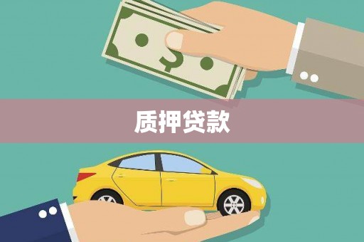 湖里质押贷款