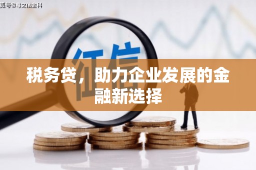 湖里税务贷，助力企业发展的金融新选择