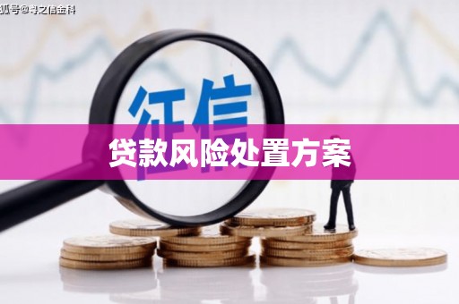 湖里贷款风险处置方案
