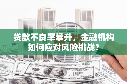 湖里贷款不良率攀升，金融机构如何应对风险挑战？