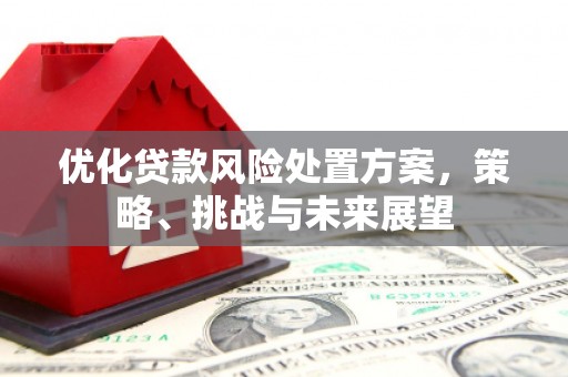 湖里优化贷款风险处置方案，策略、挑战与未来展望