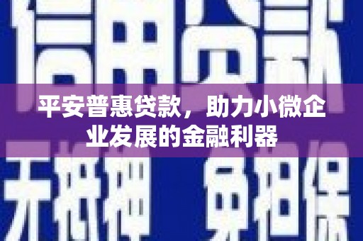 湖里平安普惠贷款，助力小微企业发展的金融利器