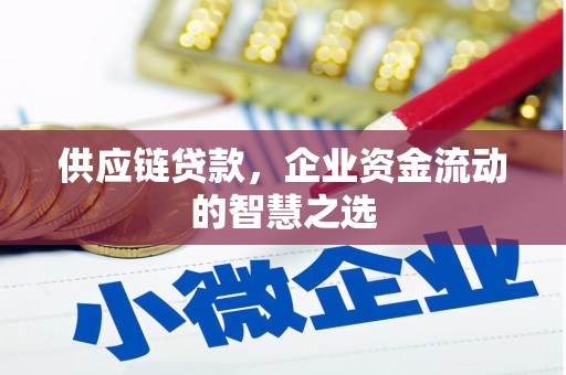 湖里供应链贷款，企业资金流动的智慧之选