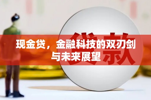 湖里现金贷，金融科技的双刃剑与未来展望