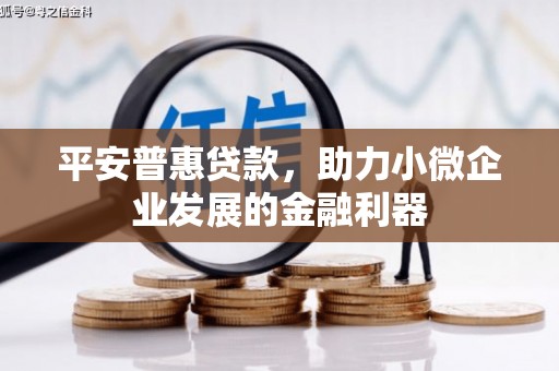 湖里平安普惠贷款，助力小微企业发展的金融利器