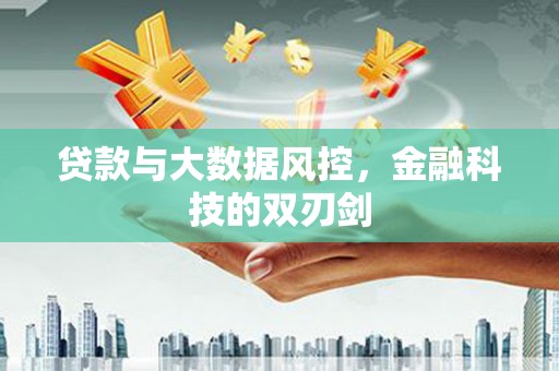 湖里贷款与大数据风控，金融科技的双刃剑