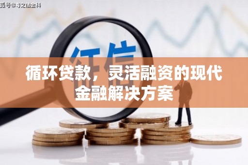 湖里循环贷款，灵活融资的现代金融解决方案