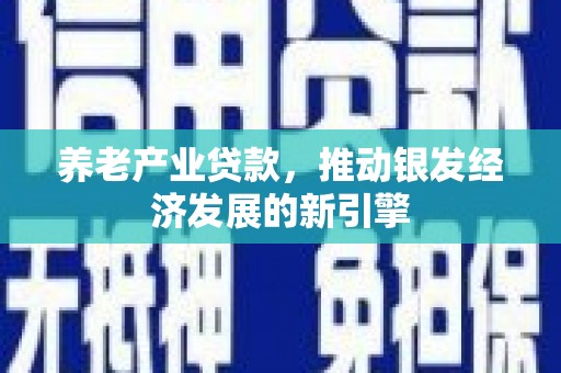 湖里养老产业贷款，推动银发经济发展的新引擎