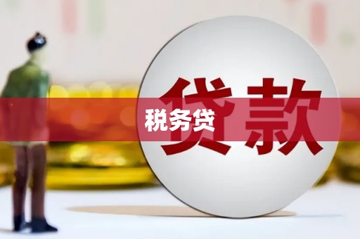 湖里税务贷