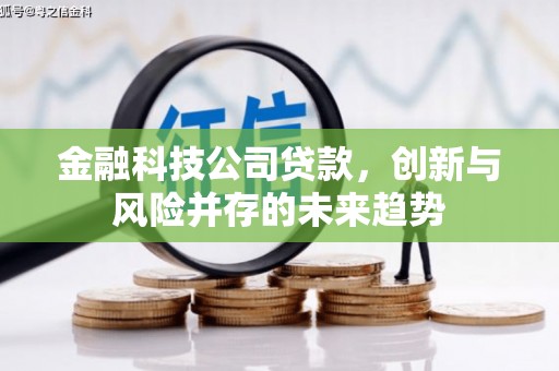 湖里金融科技公司贷款，创新与风险并存的未来趋势