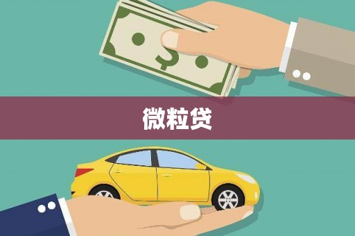 湖里微粒贷
