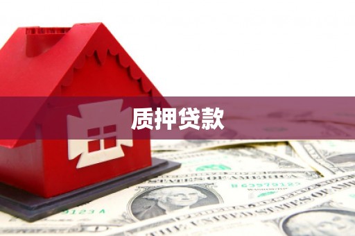 湖里质押贷款