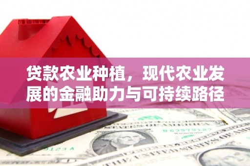 湖里贷款农业种植，现代农业发展的金融助力与可持续路径