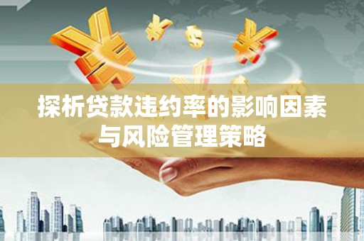 湖里探析贷款违约率的影响因素与风险管理策略