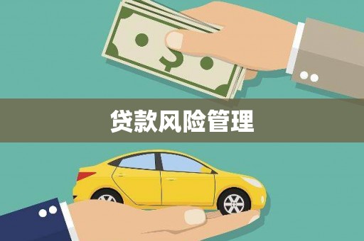 湖里贷款风险管理