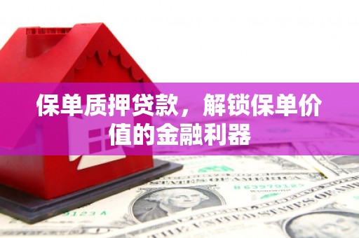 湖里保单质押贷款，解锁保单价值的金融利器