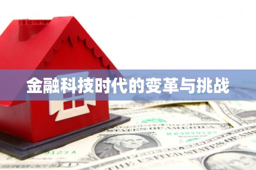湖里金融科技时代的变革与挑战