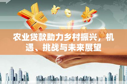 湖里农业贷款助力乡村振兴，机遇、挑战与未来展望