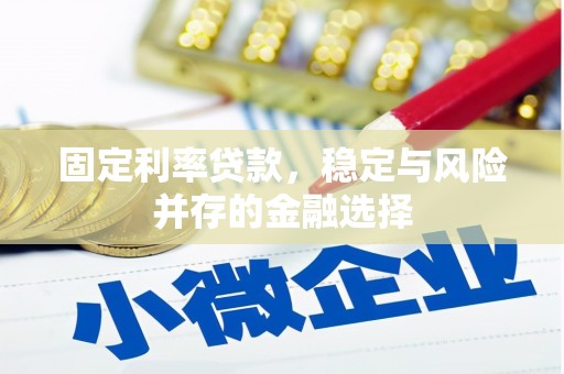 湖里固定利率贷款，稳定与风险并存的金融选择