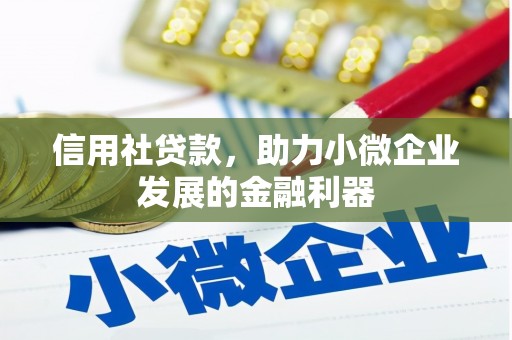 湖里信用社贷款，助力小微企业发展的金融利器