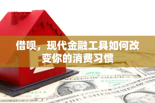 湖里借呗，现代金融工具如何改变你的消费习惯