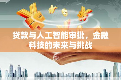湖里贷款与人工智能审批，金融科技的未来与挑战