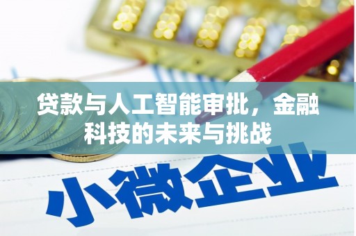 湖里贷款与人工智能审批，金融科技的未来与挑战