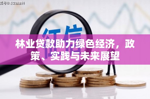 湖里林业贷款助力绿色经济，政策、实践与未来展望