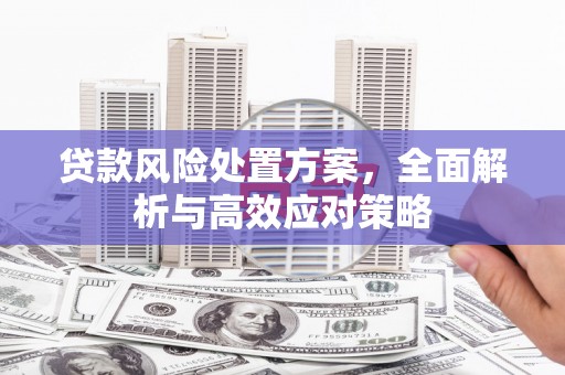 湖里贷款风险处置方案，全面解析与高效应对策略