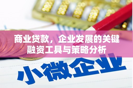 湖里商业贷款，企业发展的关键融资工具与策略分析