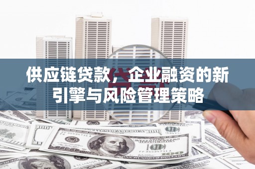 湖里供应链贷款，企业融资的新引擎与风险管理策略