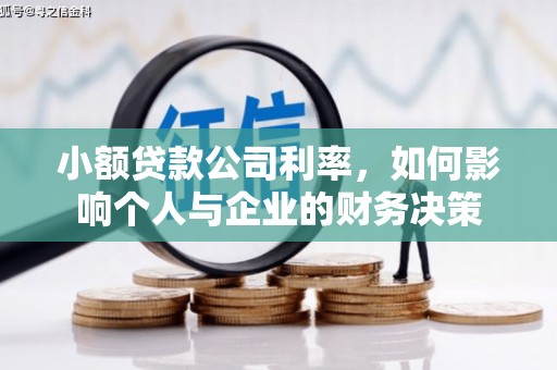 湖里小额贷款公司利率，如何影响个人与企业的财务决策