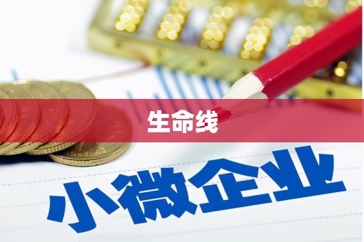 湖里生命线