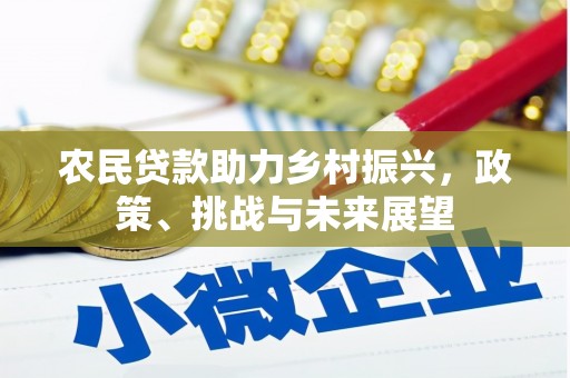 湖里农民贷款助力乡村振兴，政策、挑战与未来展望