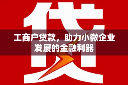 湖里工商户贷款，助力小微企业发展的金融利器