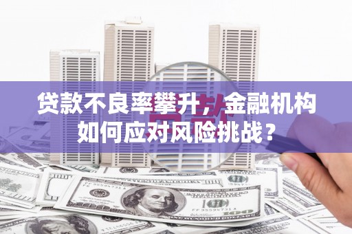 湖里贷款不良率攀升，金融机构如何应对风险挑战？