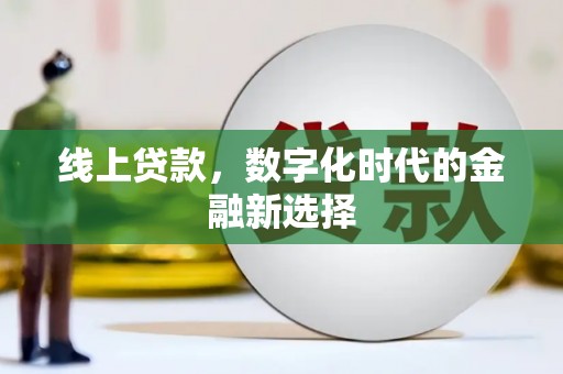 湖里线上贷款，数字化时代的金融新选择