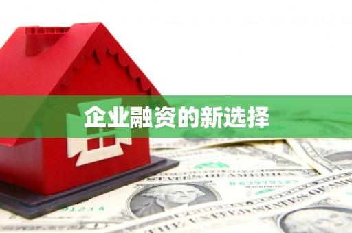 湖里企业融资的新选择
