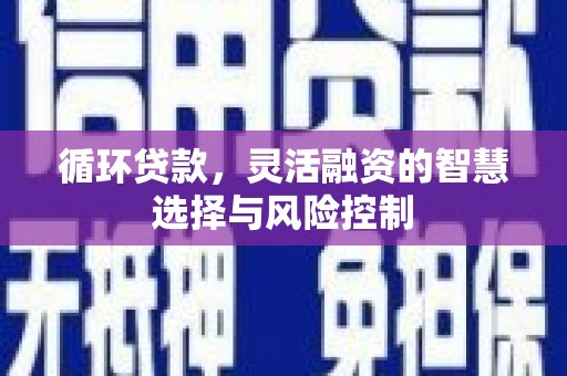 湖里循环贷款，灵活融资的智慧选择与风险控制