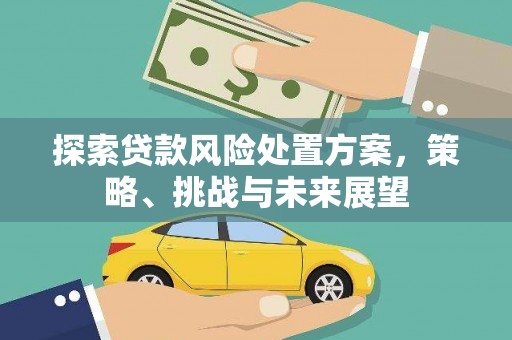 湖里探索贷款风险处置方案，策略、挑战与未来展望