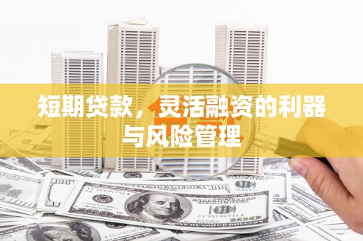 湖里短期贷款，灵活融资的利器与风险管理