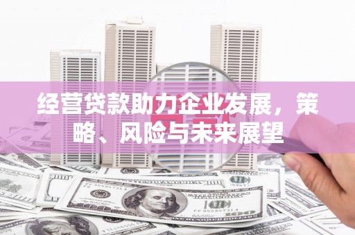 湖里经营贷款助力企业发展，策略、风险与未来展望