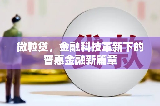 湖里微粒贷，金融科技革新下的普惠金融新篇章