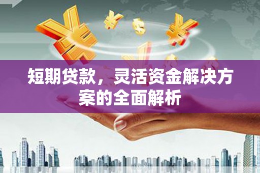 湖里短期贷款，灵活资金解决方案的全面解析
