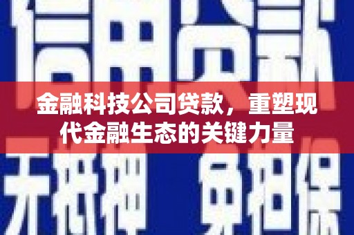 湖里金融科技公司贷款，重塑现代金融生态的关键力量