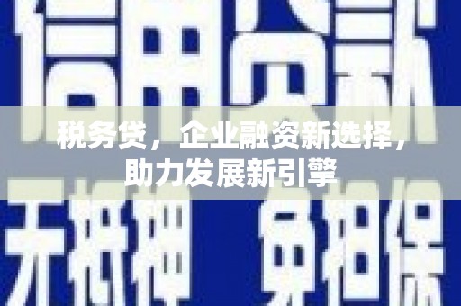 湖里税务贷，企业融资新选择，助力发展新引擎
