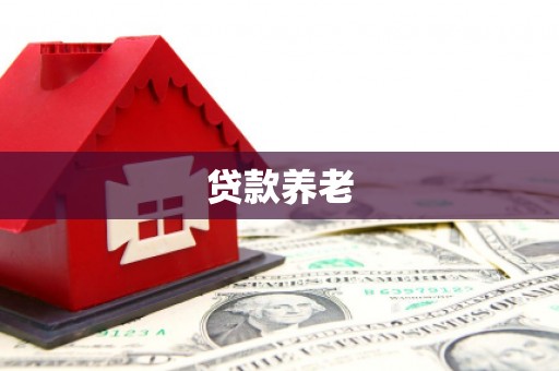 湖里贷款养老