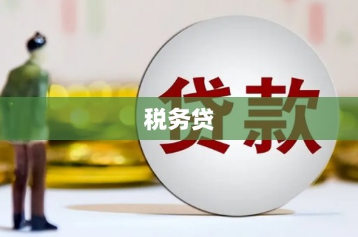 湖里税务贷