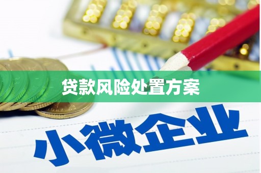 湖里贷款风险处置方案